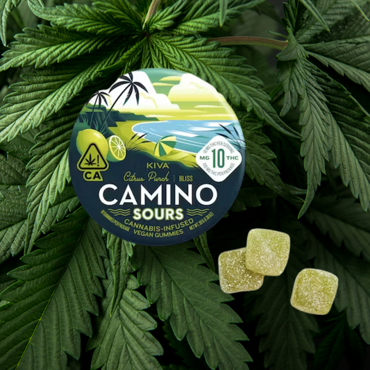 Camino-Sours Citrus Punch Indica 100mg- Soft Chew Gummies