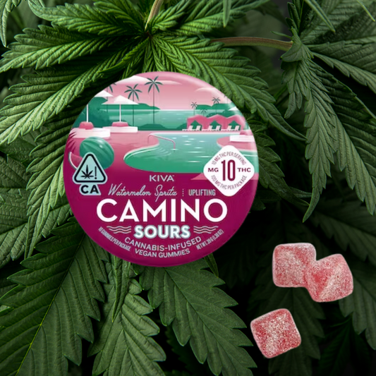 Camino- Sour Watermelon Spritz Sativa- 100mg Soft Chew Gummies