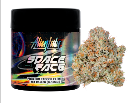 Alien Labs- Space Face 1/8th