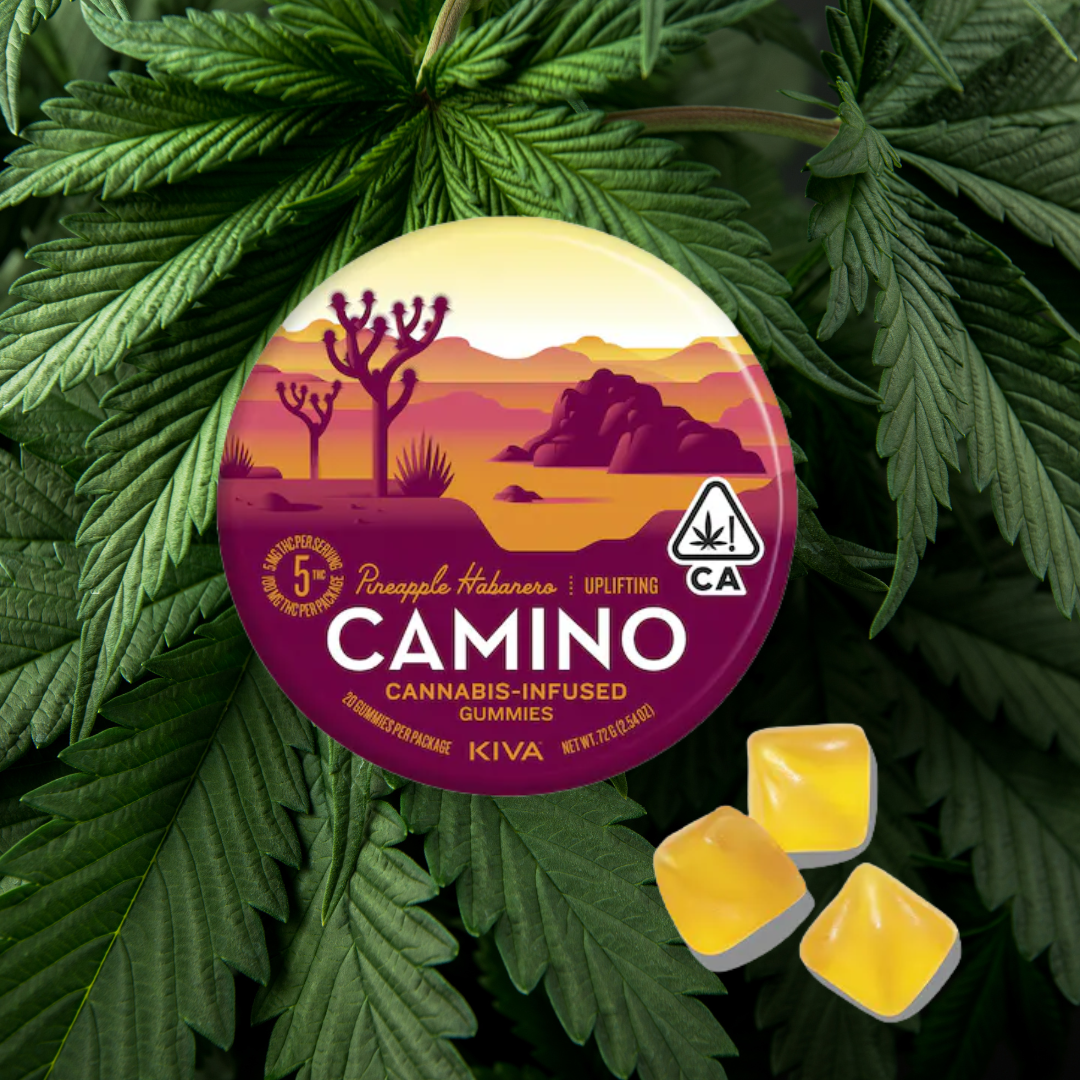 Camino - Pineapple Habanero Gummies- Sativa