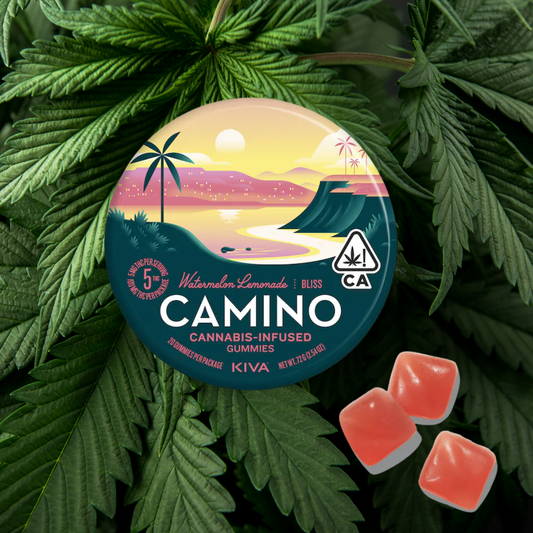 Camino - Watermelon Lemonade Hybrid 100mg - Soft Chew Gummies